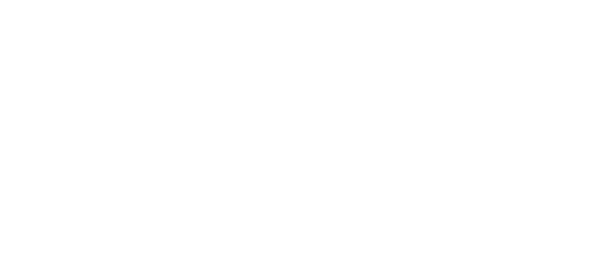 Provedor licenciado
